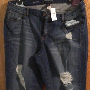 Plus Size Ladies Jeans